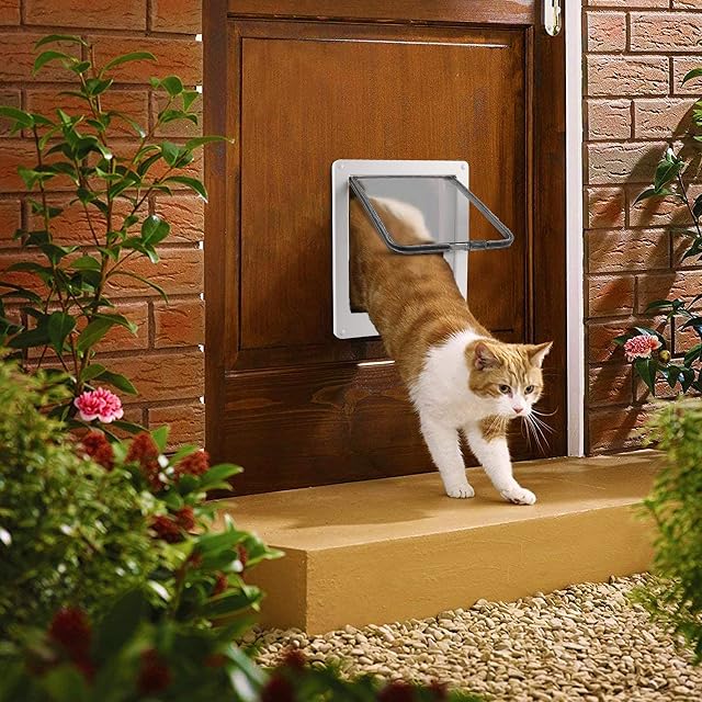 Foto 2 de 7 de Sailnovo Puerta para Gatos y Perros pequeños con Cierre Magnético de 4 Vías, Blanco, M 19.5x22.5x6cm