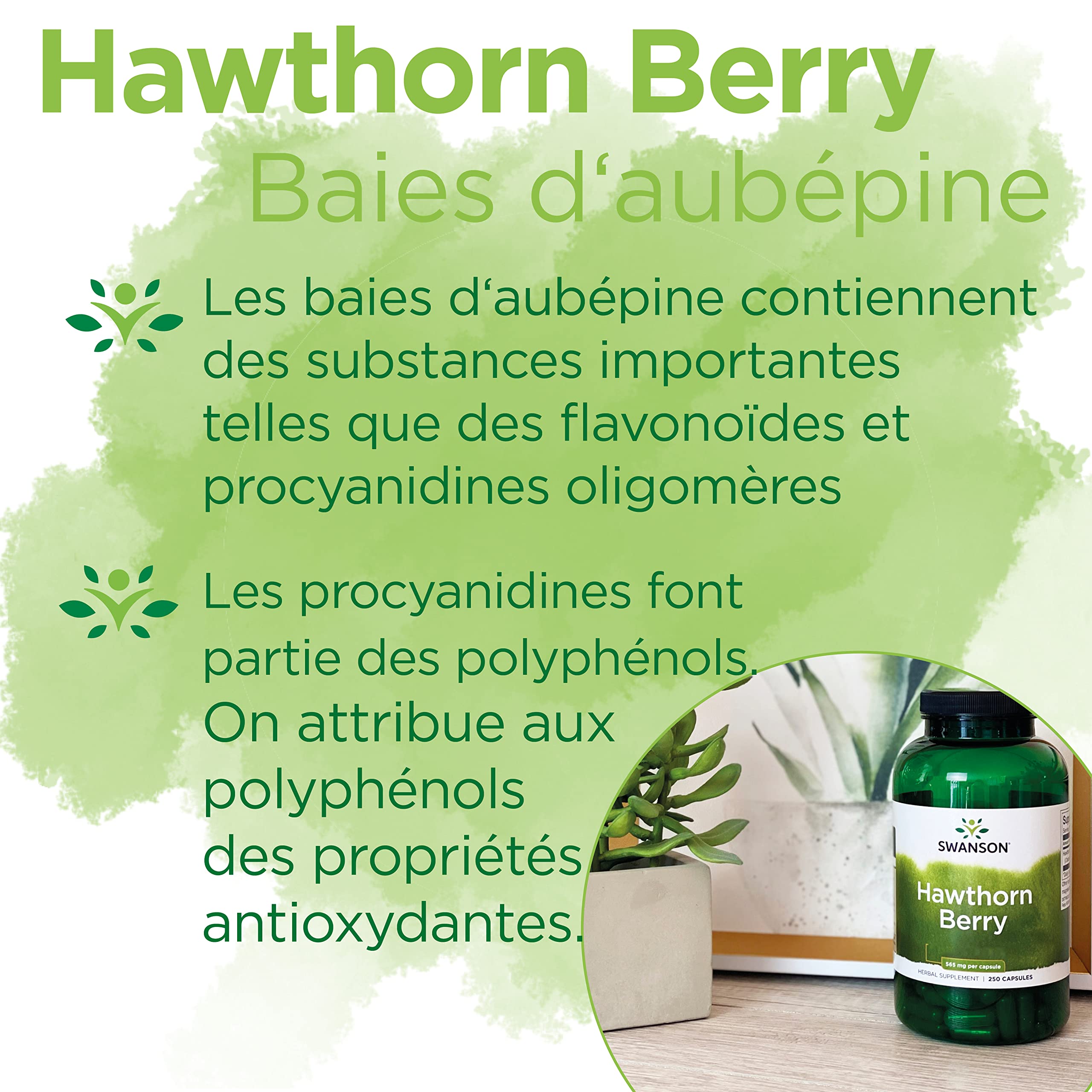 Swanson, Hawthorn Berry (Baies d'Aubépine), 565mg, 250 Capsules, Hautement Dosé, Sans Soja, Sans Gluten, Sans OGM