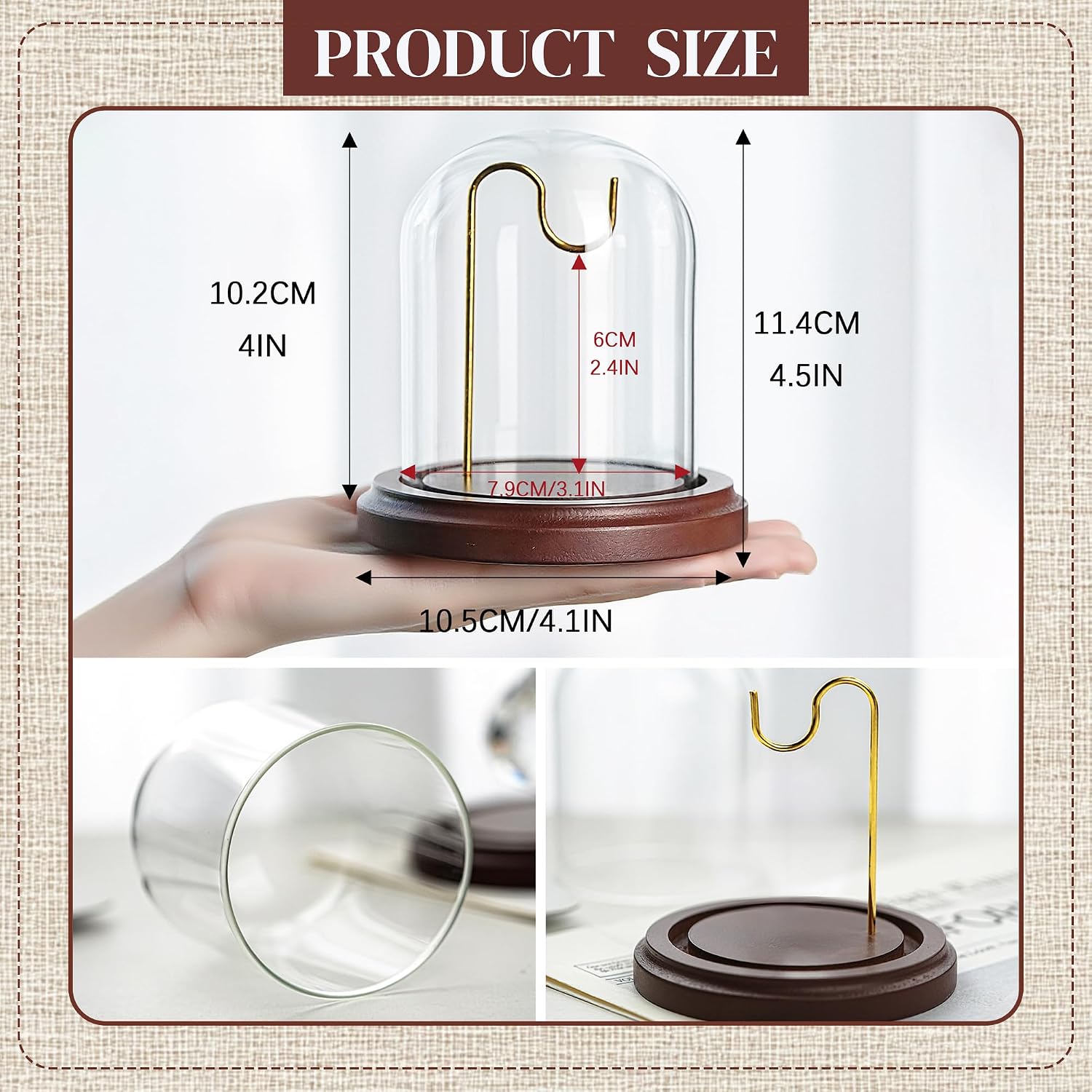 3x4 Inch Glass Dome Cloche Terrarium Display with Wood Base Hook