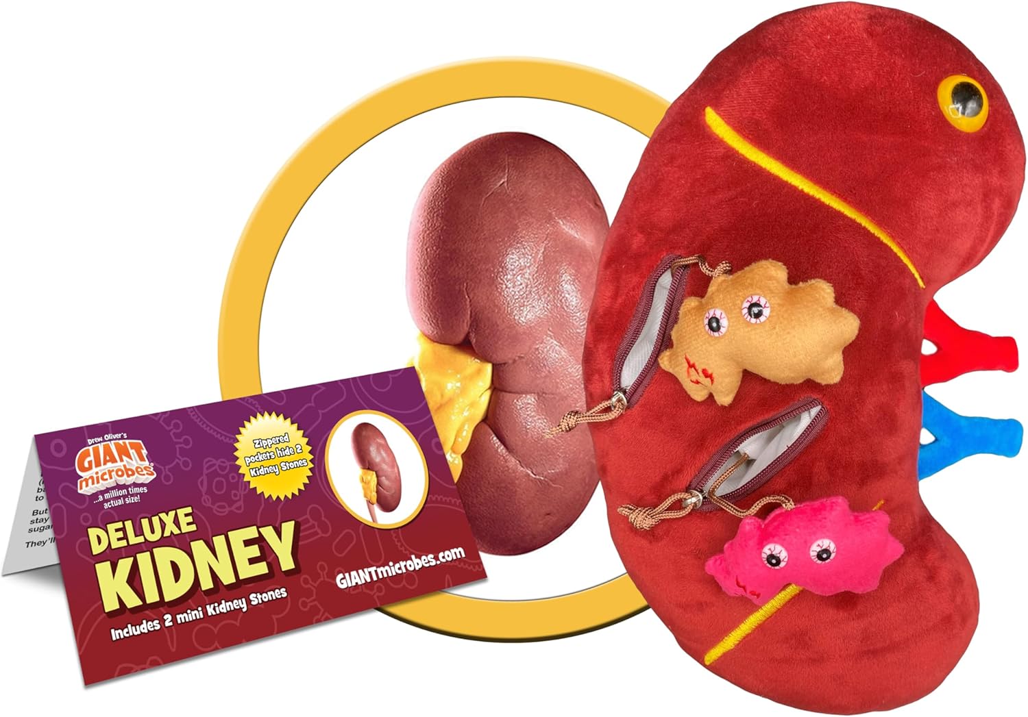 GIANTmicrobes Deluxe 12" Kidney Plush with Kidney Stones, Kidney Stuffed Animal, Kidney Transplant Gifts, Kidney Donor Gifts, Kidney Pillow, Urology Gifts, Nephrology Gifts, Dialysis Nurse Gifts - Image 2