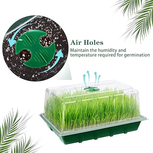Miniatura 3 de Hahood Paquete de 6 bandejas de inicio de semillas con cúpula de humedad, bandejas de cultivo de germinación de plástico con etiquetas de plantas,
