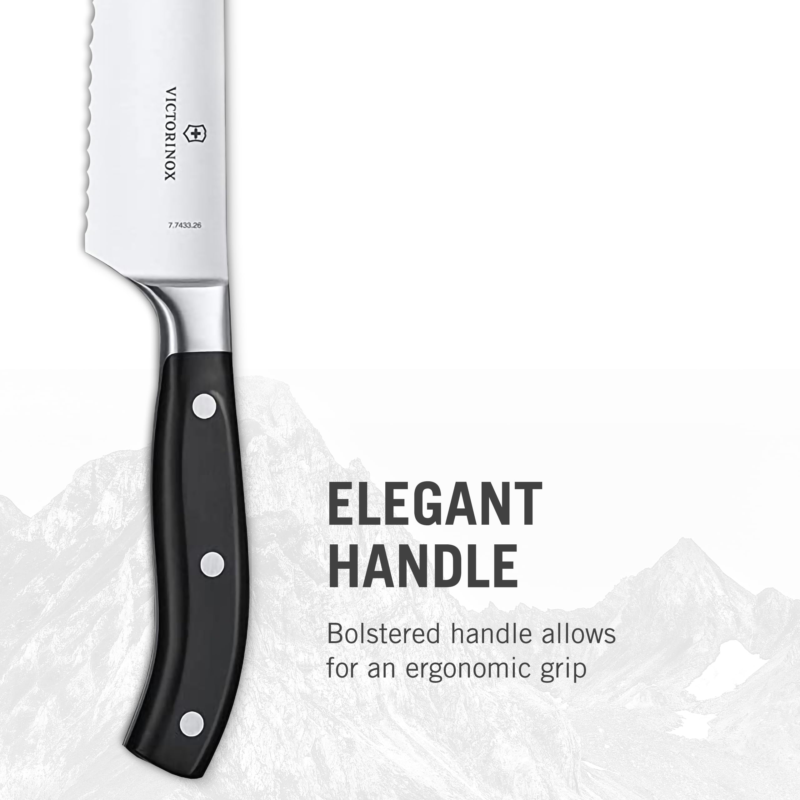 Amazon.com: Victorinox Grand Maitre 10.25 Inch Bread and Pastry