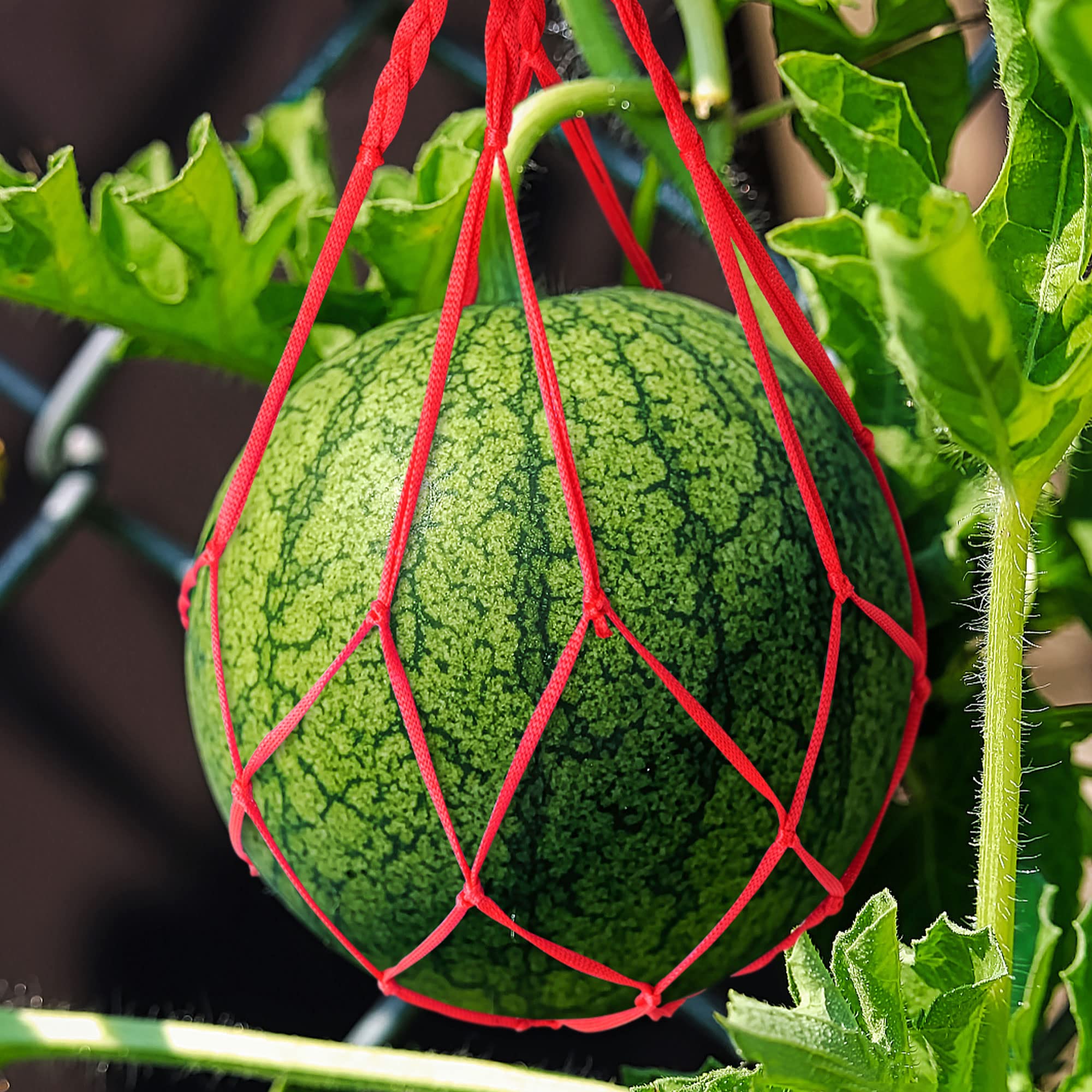 10 Stück Melonen-Netzbeutel Aus Nylon, 20 Zoll, Für Vertikalen Anbau Von Kürbis, Melone & Mehr