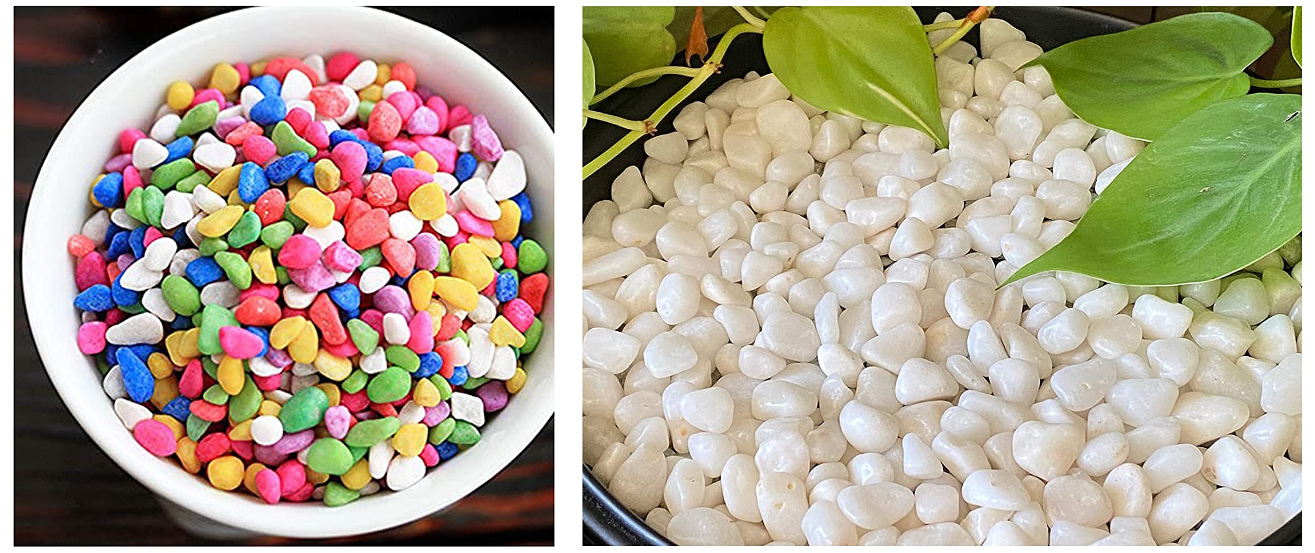 See full amazon price history chart for Leafy Tales Rainbow Colored Pebbles 1 kg & White Polished Marble Stone Pebbles for Home & Garden Decoration|Plants & Pots|Art & Craft|Aquarium Vase Filler | White Polish 500 GMS Leafy Tales Rainbow Colored Pebbles 1 kg & White Polished Marble Stone Pebbles for Home & Garden Decoration|Plants & Pots|Art & Craft|Aquarium Vase Filler | White Polish 500 GMS (B0BB66QKGK) Amazon Price History, Amazon Price Tracker