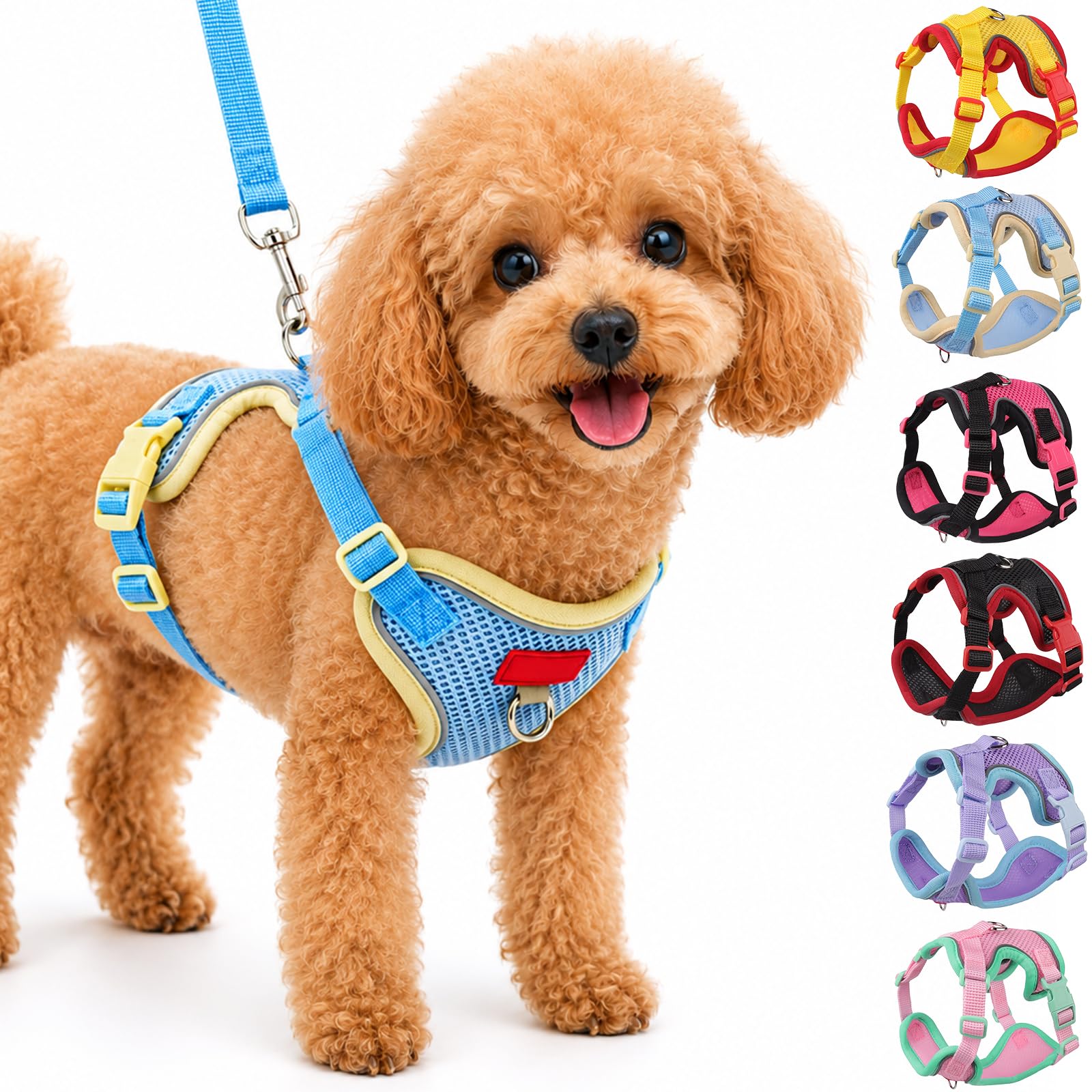 Olcyren Harness and Lead Set for Small to Medium Dogs and Cats, Soft Mesh Reflective Breathable Puppy Harness, No Choke Adjustable Lightweight Comfortable Pet Vest Harness Walking (Blue, S)