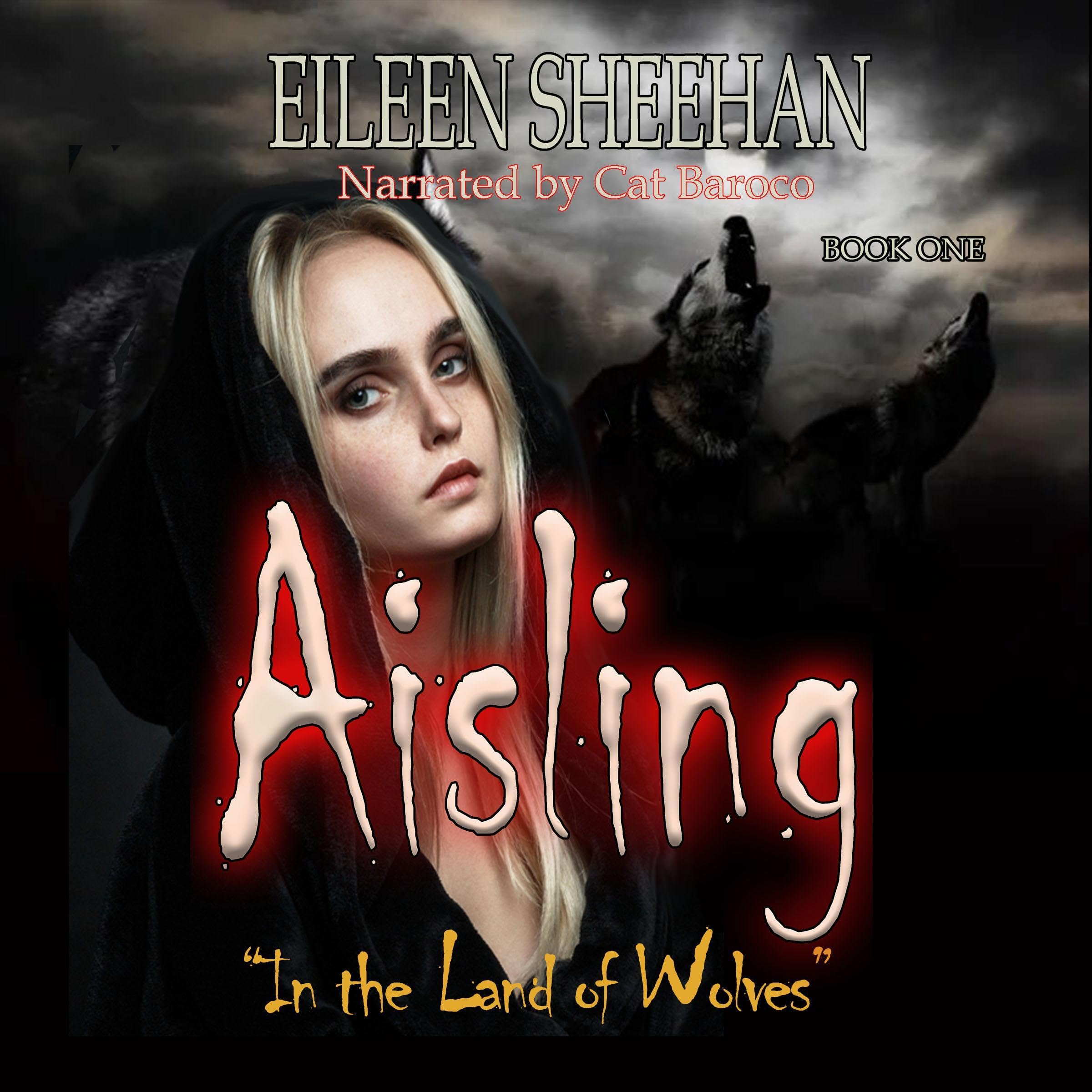 Cover art for Aisling: In the Land of Wolves