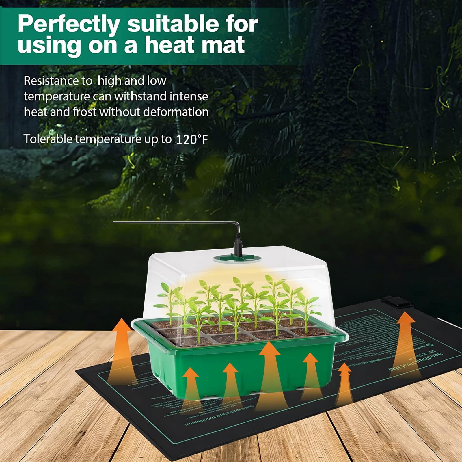 Vassoi per semina (12 celle per vassoio), kit di germinazione delle piante regolabile per l'umidità, mini propagatore a effetto serra con cupola(5 confezioni con luci)
