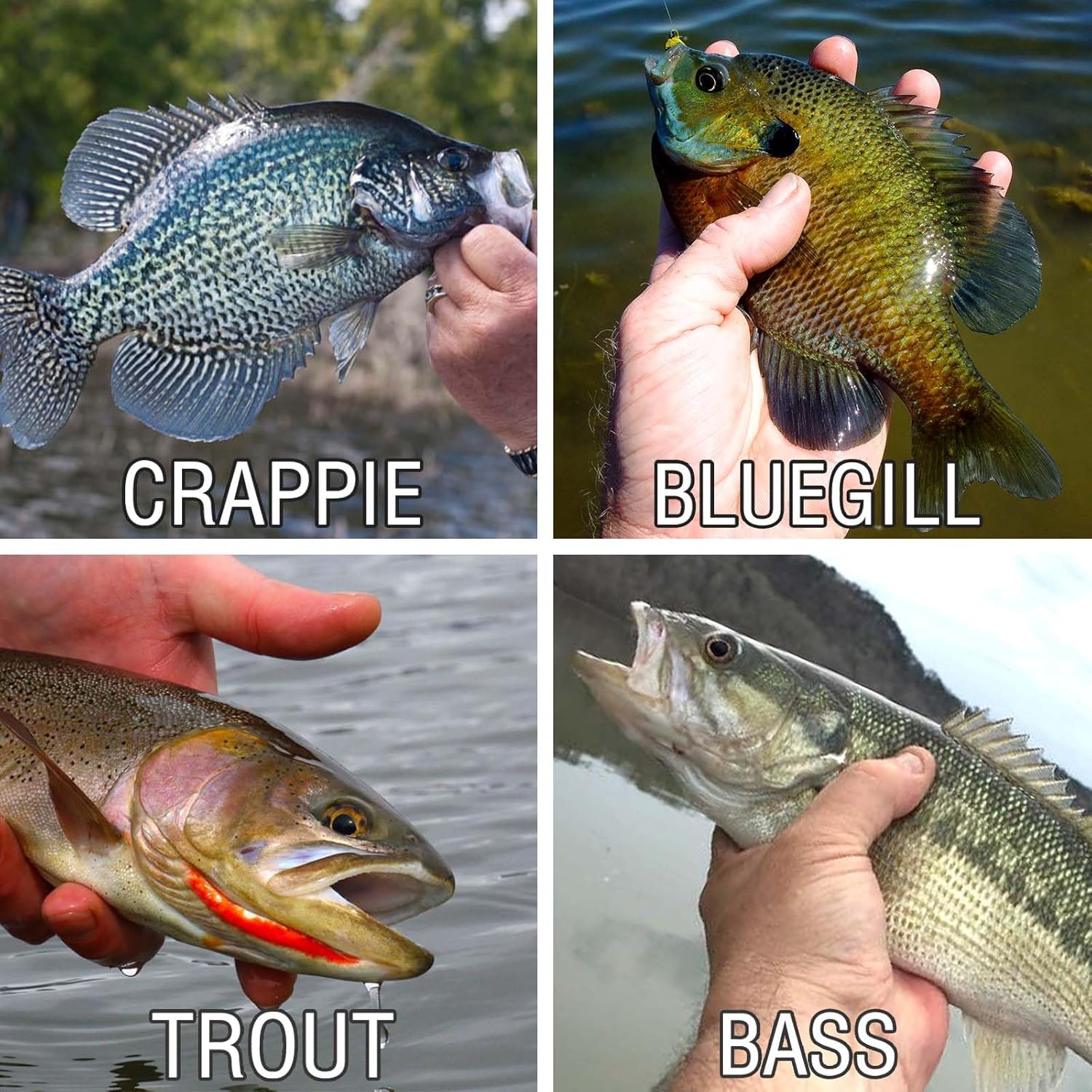 135 PCS Crappie Lures Kit - Crappie Jig Heads Fishing Hooks for Soft Plastic Lures for Trout Bass Walleye Bluegill Perch Catfish