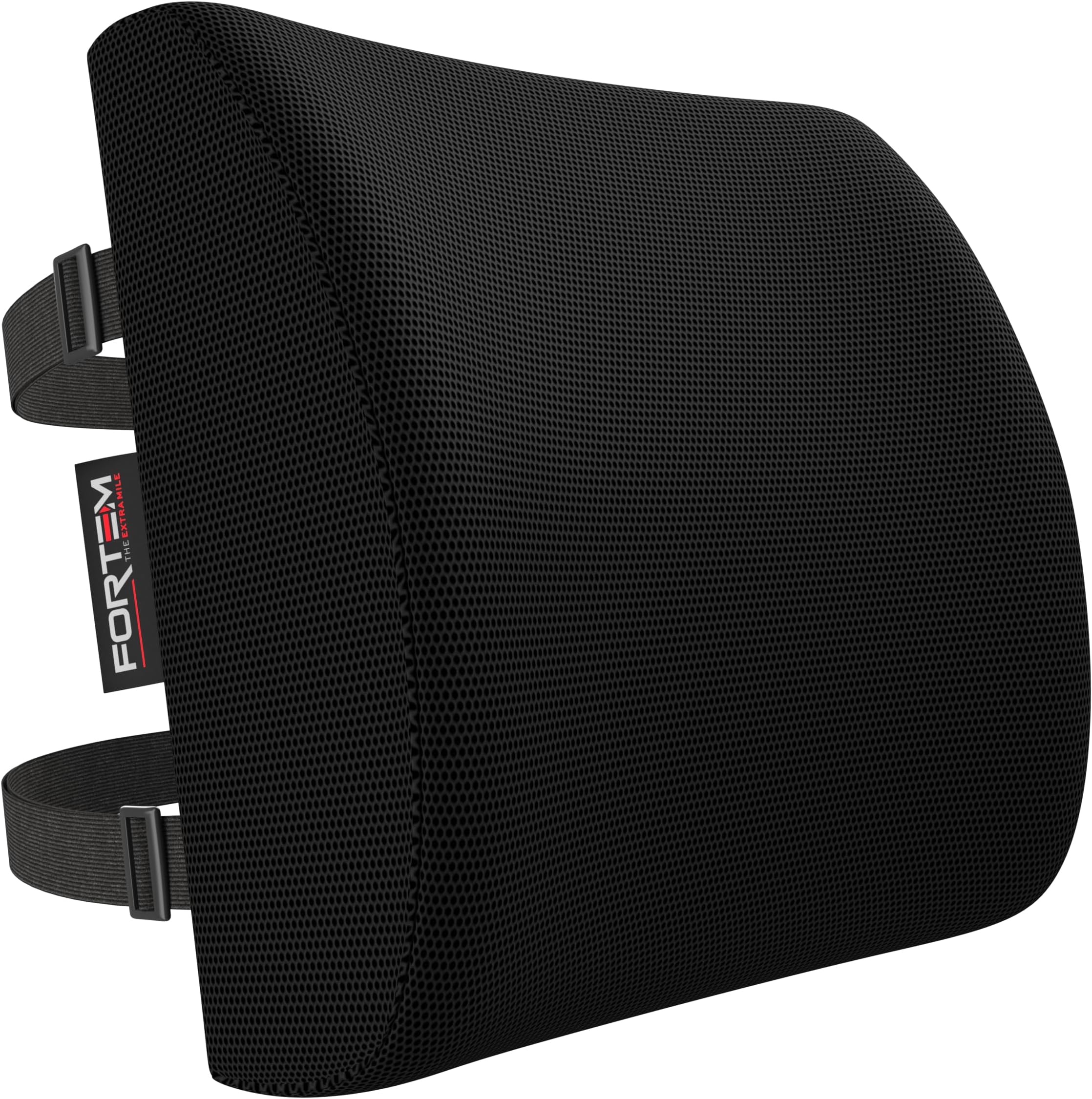 FORTEM Lumbar Support Cushion, Back Support for Office Chair and Car Seat, Back Rest for Gaming, Memory Foam Pillow, Desk Chair Cushion, Breathable & Washable Cover, Adjustable Straps
