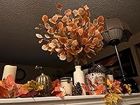 Review Image by AmandaK47