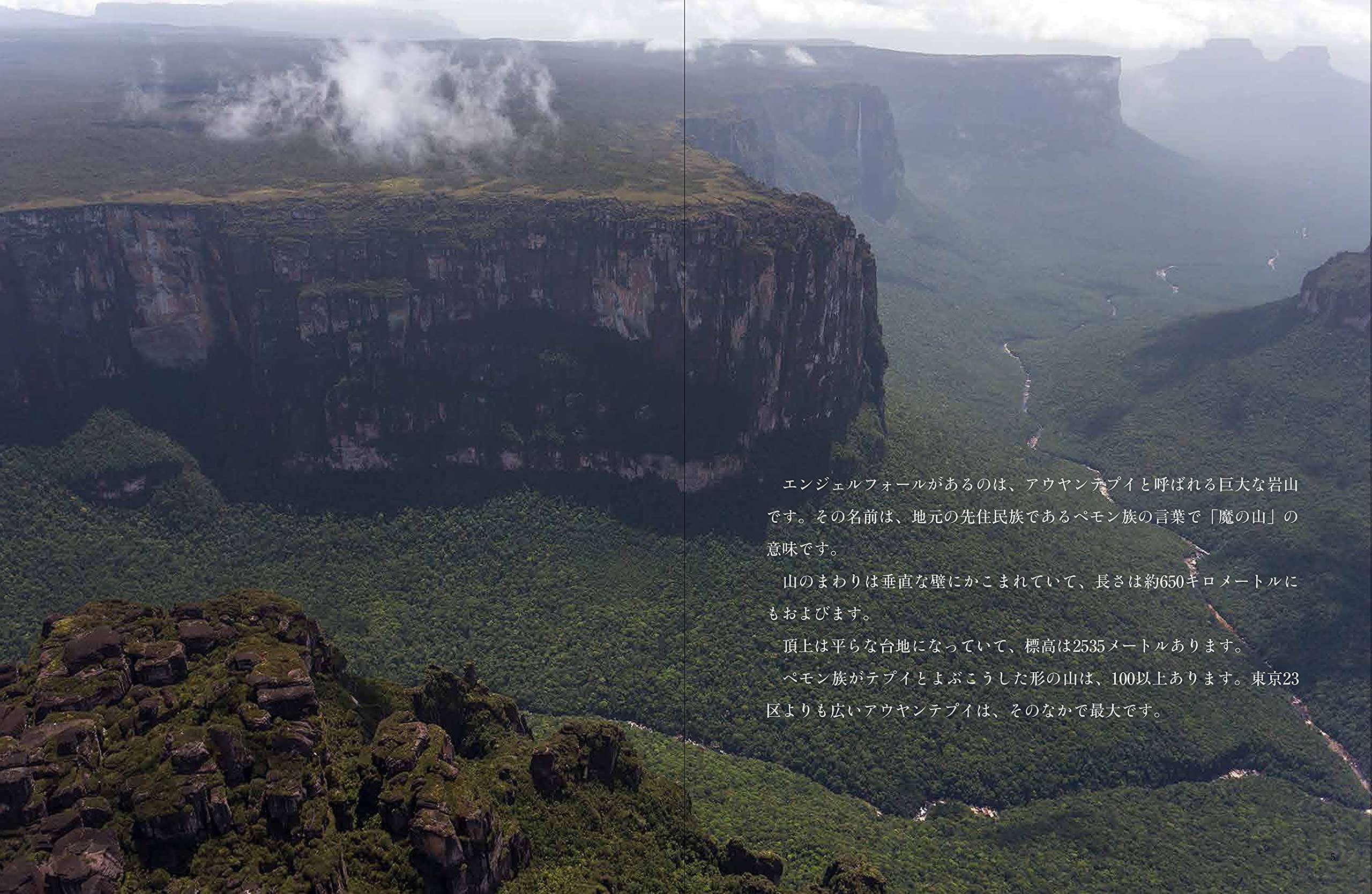 ギアナ高地 謎の山 テプイ 月刊たくさんのふしぎ21年8月号 寺沢孝毅 寺沢孝毅 本 通販 Amazon