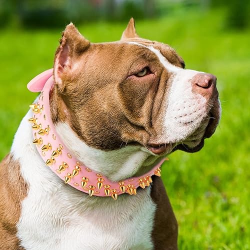 Miniatura 6 de Collar ancho de perro con púas doradas, collares de cadena para perro Epesiri, collares de perro de piel sintética con remaches de hongos, collar