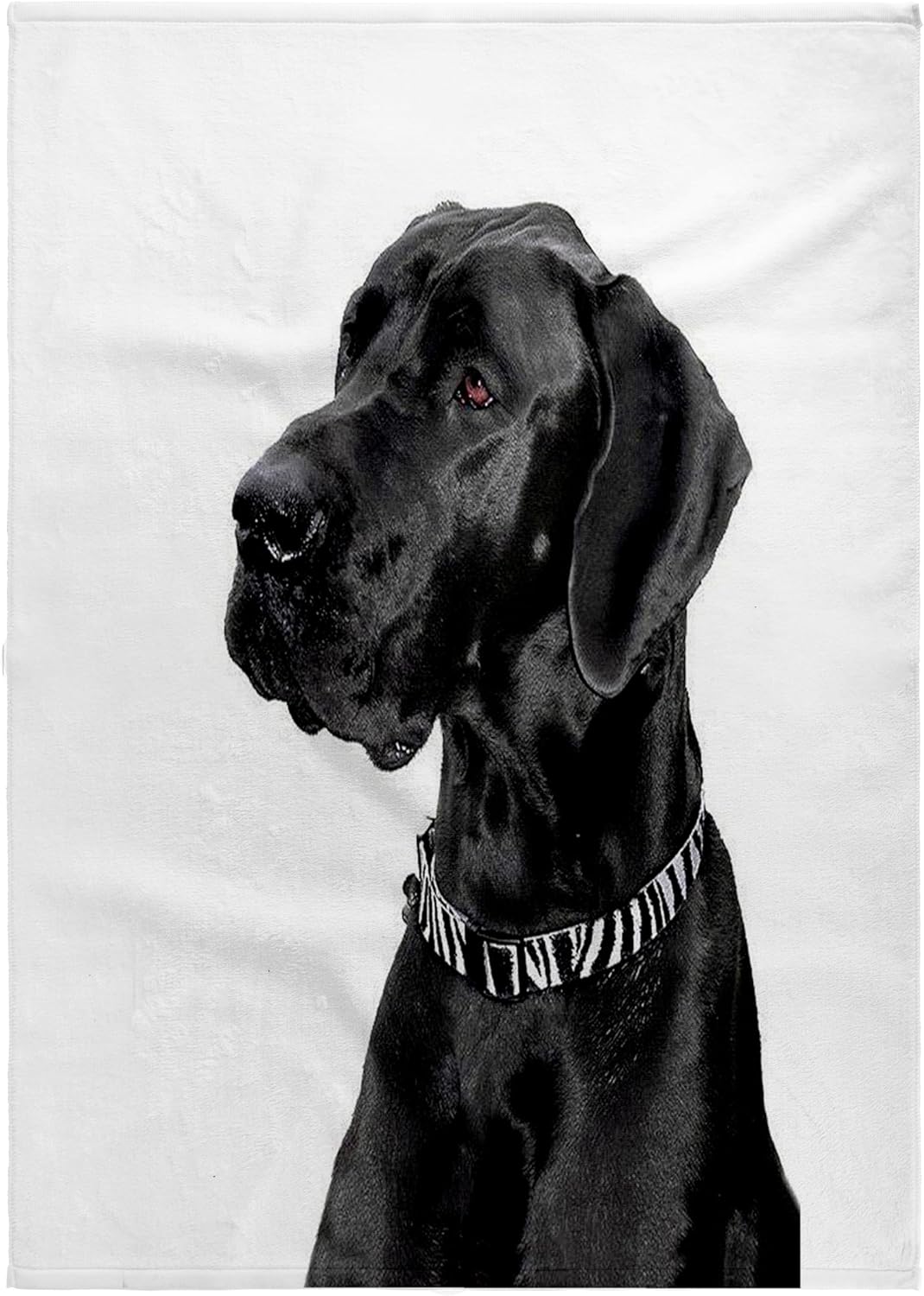 3dRose Black Great Dane 22x30 Bath Hand Pool Towel