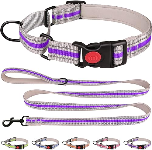Collar Martingala para perros, juego de collar y correa Martingala reflectante acolchado de neopreno suave con hebilla de seguridad, collar
