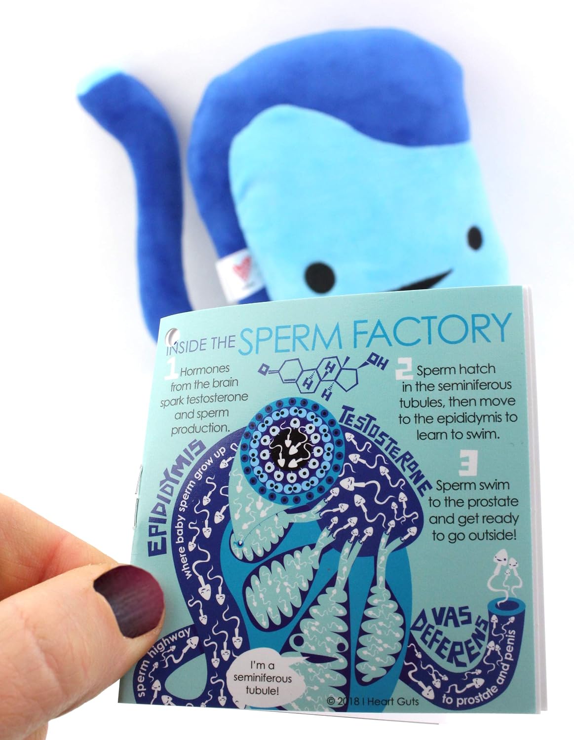 I Heart Guts Testicle Plush - 9" Cute Educational Organ Toy for Vasectomy & Testicular Cancer - Funny Get Well Recovery Gift for Urology Nurse Patients & Medical Student STEM Anatomy Plushie image 5