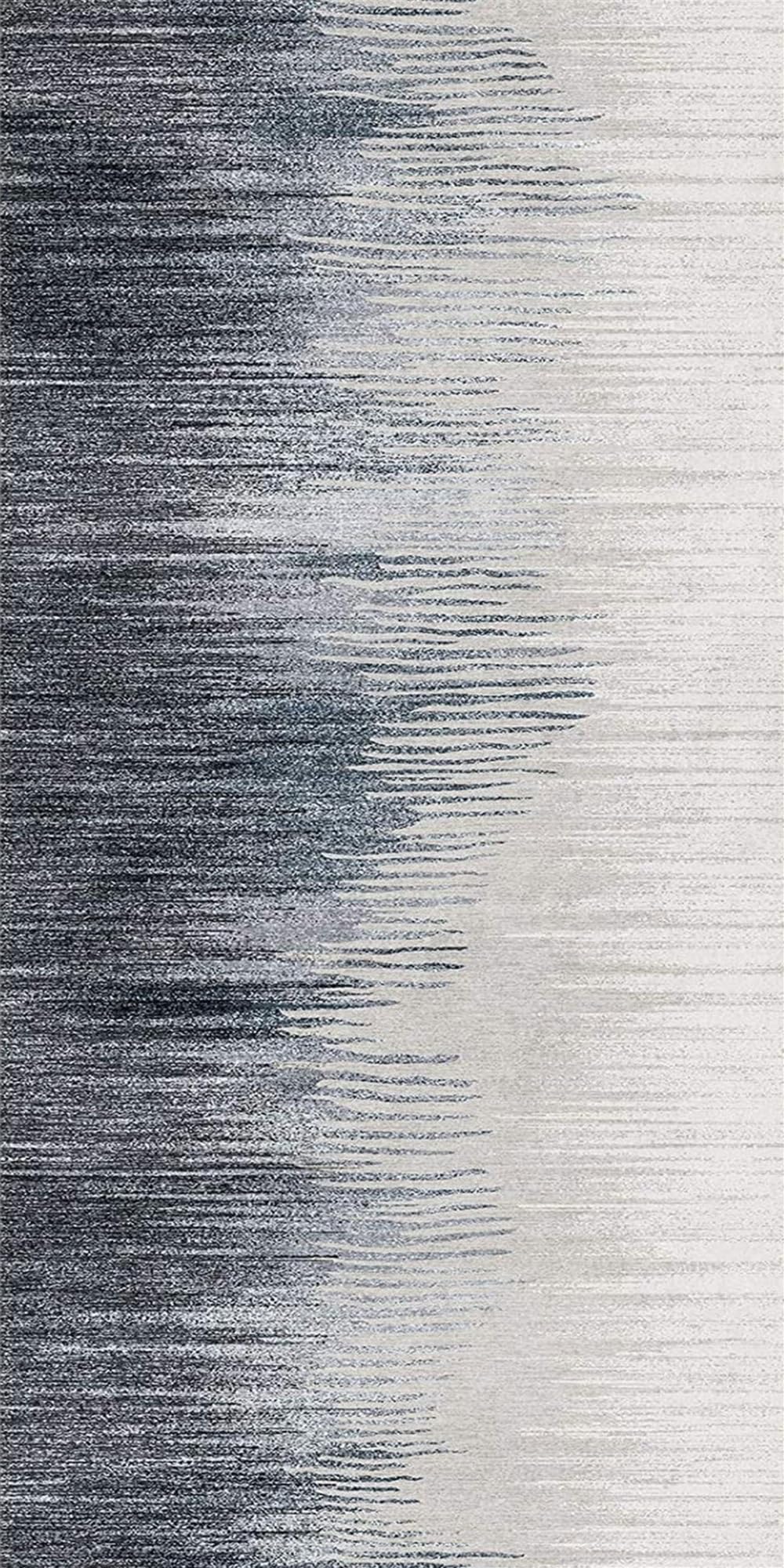 Dywanik Do Przedpokoju 60 x 490 cm Wytrzymała, Zmywalna, Lekka Duży Zmywalny Dywan Antypoślizgowy Nie Gubiący Brudu, Antypoślizgowy Spód Do Salonu, Kuchni I Sypialni, D