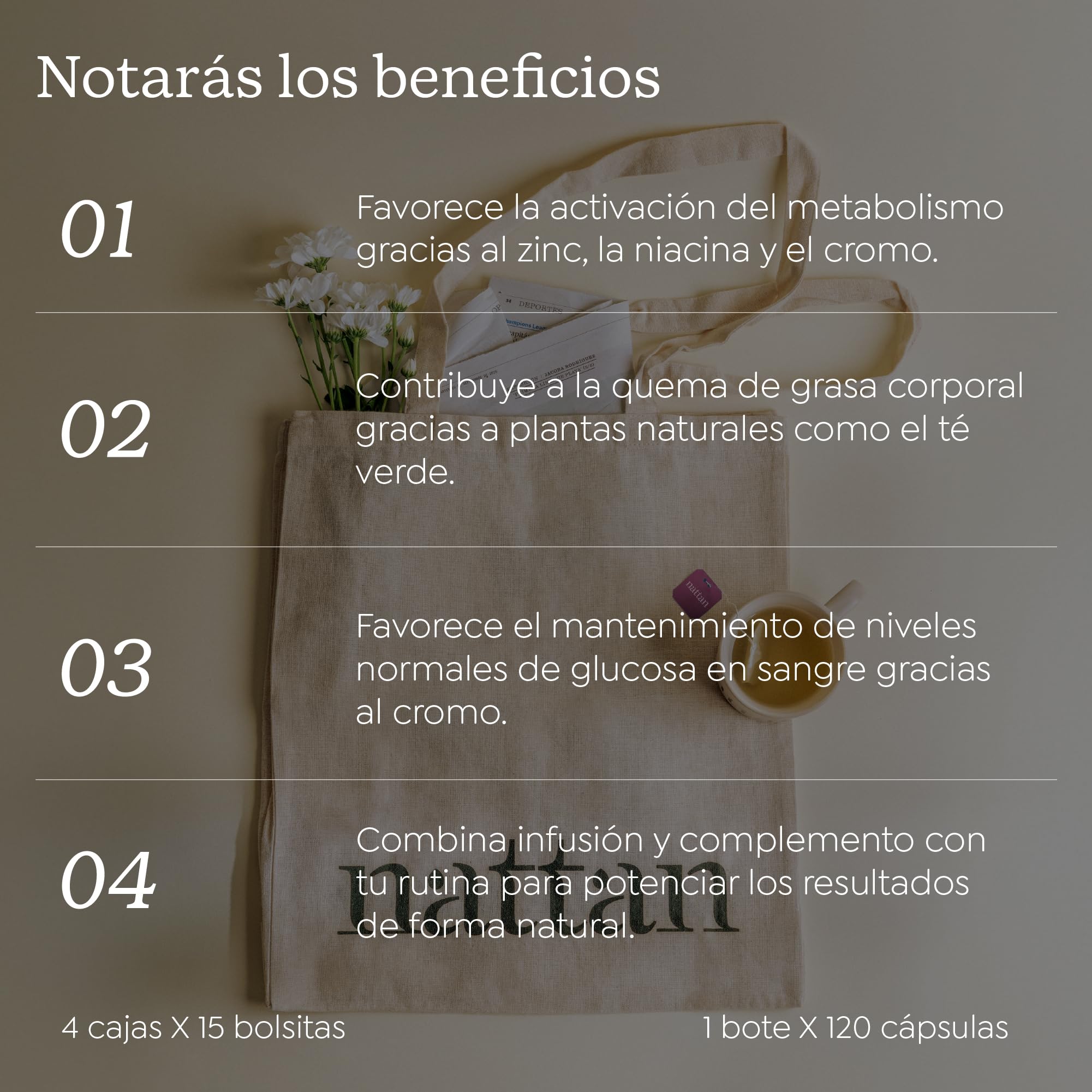 Nattan – Plan Boost & Burn – Rutina Dual de Infusión y Complemento, Apoyo al Metabolismo Energético con Zinc con Café Verde, Mate y Cola de Caballo – 120 Cápsulas y 60 Infusiones