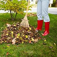 Vista 5 de Herramientas manuales Herramientas de mano Herramientas japonesas Mini Herramientas de madera Cultivador de mano Rastrillos para césped Mini