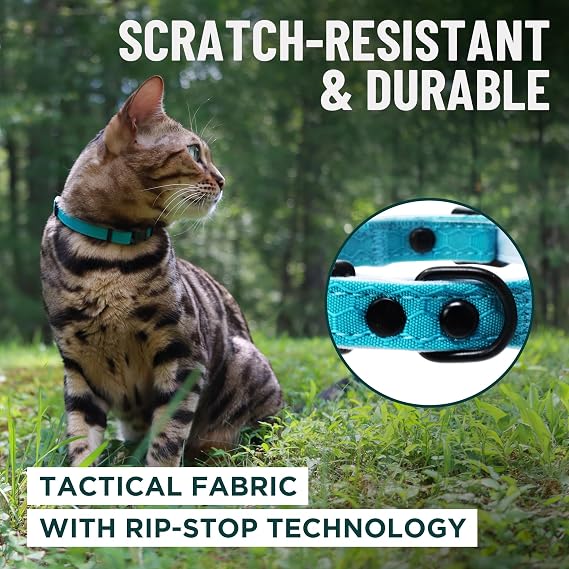 OutdoorBengal Green Breakaway Kitten Collar - Ultra Safe Quick Release Cat Collar for Small Kittens Under 6 Months Soft-Padded, Lightweight, Adjustable, Thin and Comfortable, No Bell (Green, Kitten)
