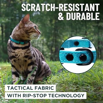 OutdoorBengal Green Breakaway Kitten Collar - Ultra Safe Quick Release Cat Collar for Small Kittens Under 6 Months Soft-Padded, Lightweight, Adjustable, Thin and Comfortable, No Bell (Green, Kitten)