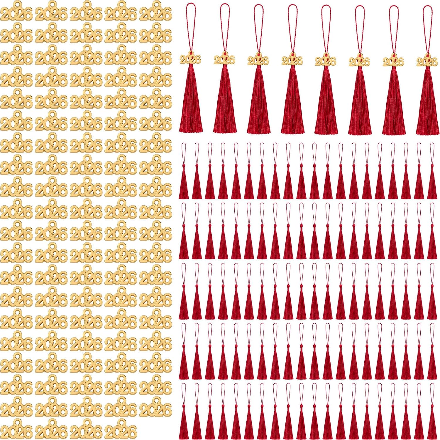 Cindeer 100 Pcs Mini Graduation Tassels with 100 Pcs 2026 Tassel Charms for Crafts Mini Silky Bookmark for Graduation Cap Keychain Ornaments DIY Craft Jewelry Making Project(Pink)