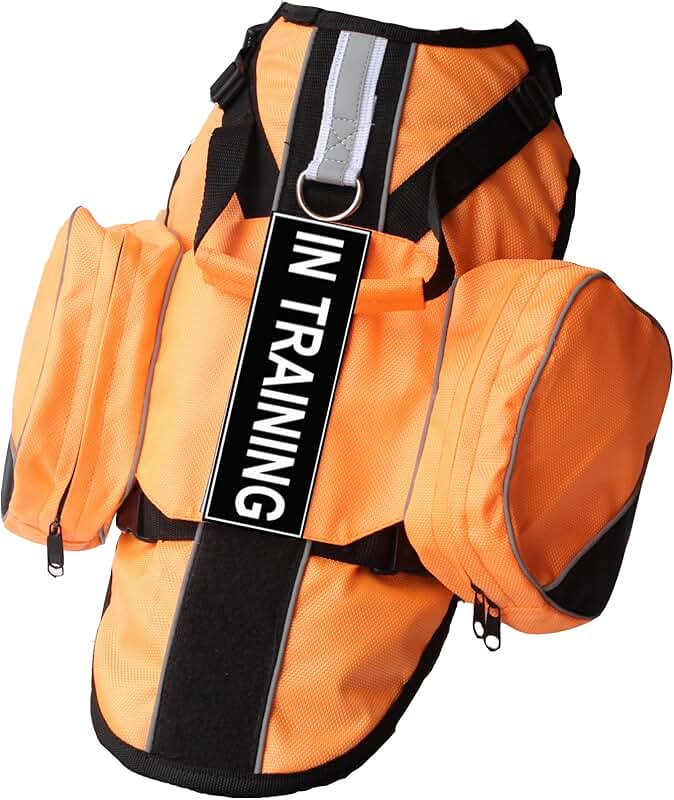 Amazon.ca service dog in training vest