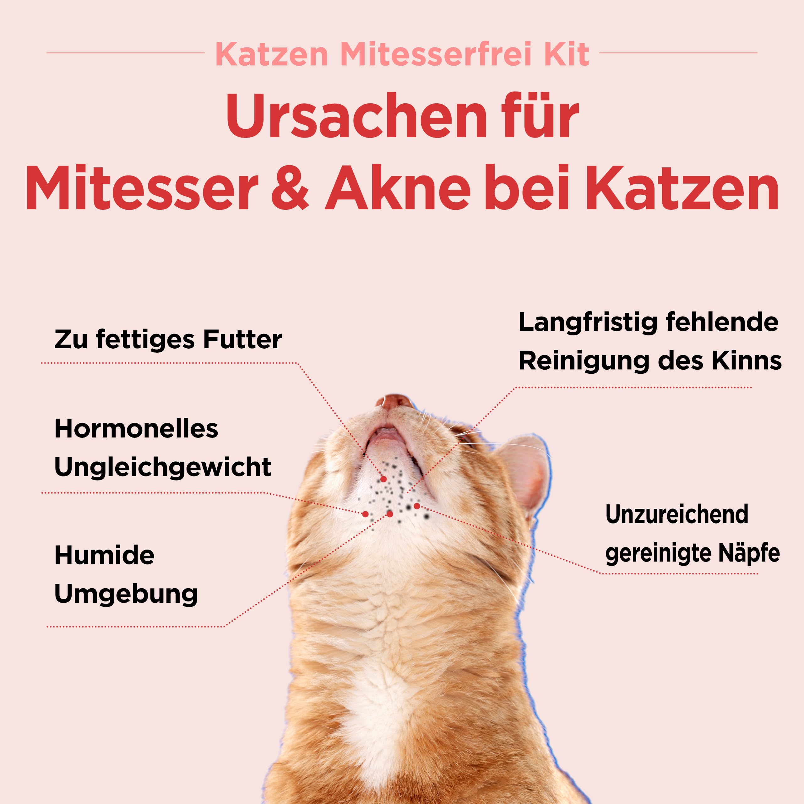 JAYU PET Katzen Mitesserfrei Kit – Mitesser-Entferner & Kinnakne Behandlung für Katzen, Schwarzkümmel Reiniger mit Silikon Peeling Bürste, hypoallergen, sanfte Katzenpflege für klare Haut