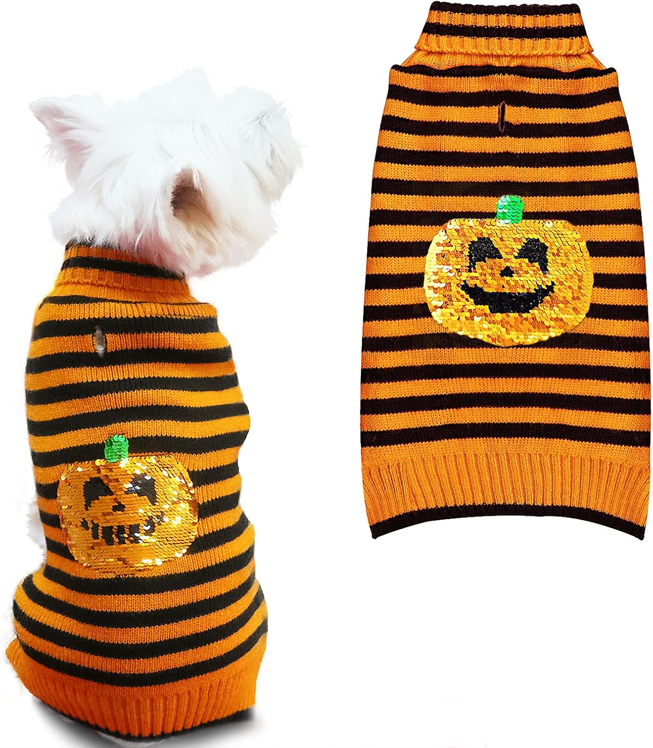 pumpkin dog sweater