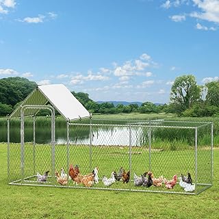 Outdoor Chicken Run, Metal Chicken Coop, with Waterproof and Anti-UV Cover, Walk-in Chicken Coop for 6/10 Chickens,Rabbits Duck Outdoor Farm Yard (9.8'L x 3.3'W x 5'H)