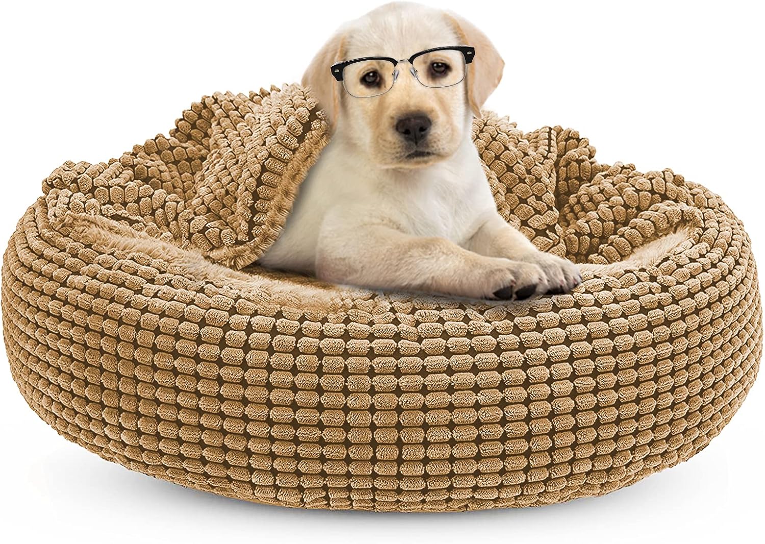 covered dog bed medium