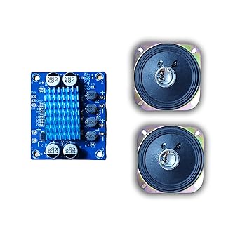OTS WORLD 60W(30+30W) Stereo Audio Amplifier Board, TPA3110 Dual Channel Class D with 2x5W(3inch) Speakers