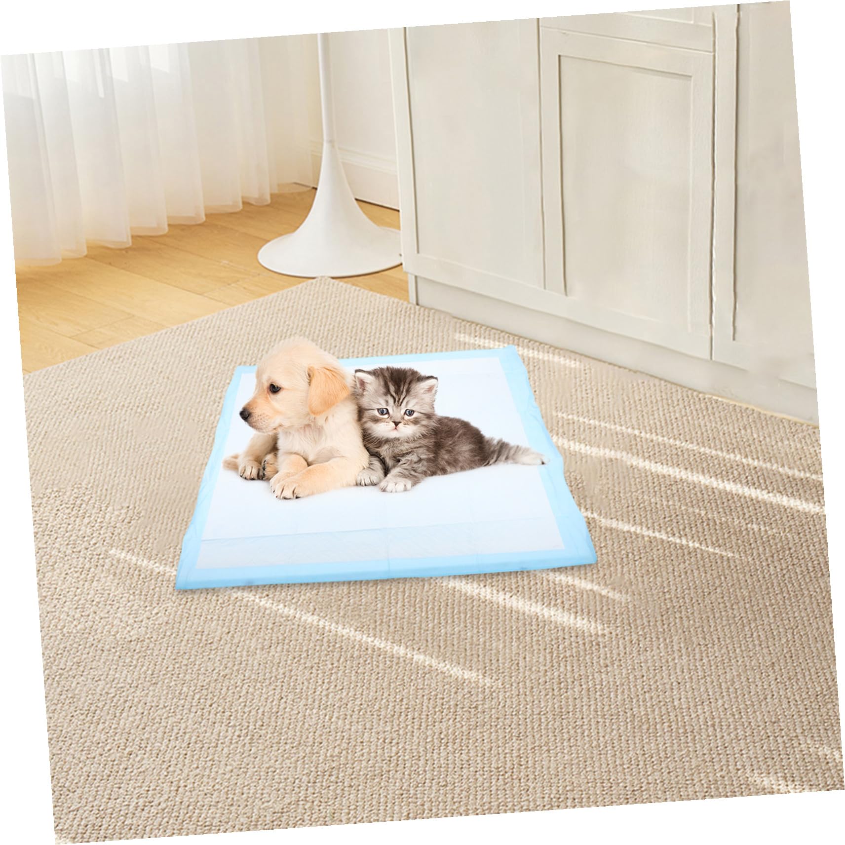 Alèse D’apprentissage pour Chiots Ultra Absorbante 60x60 Cm Non Tissée