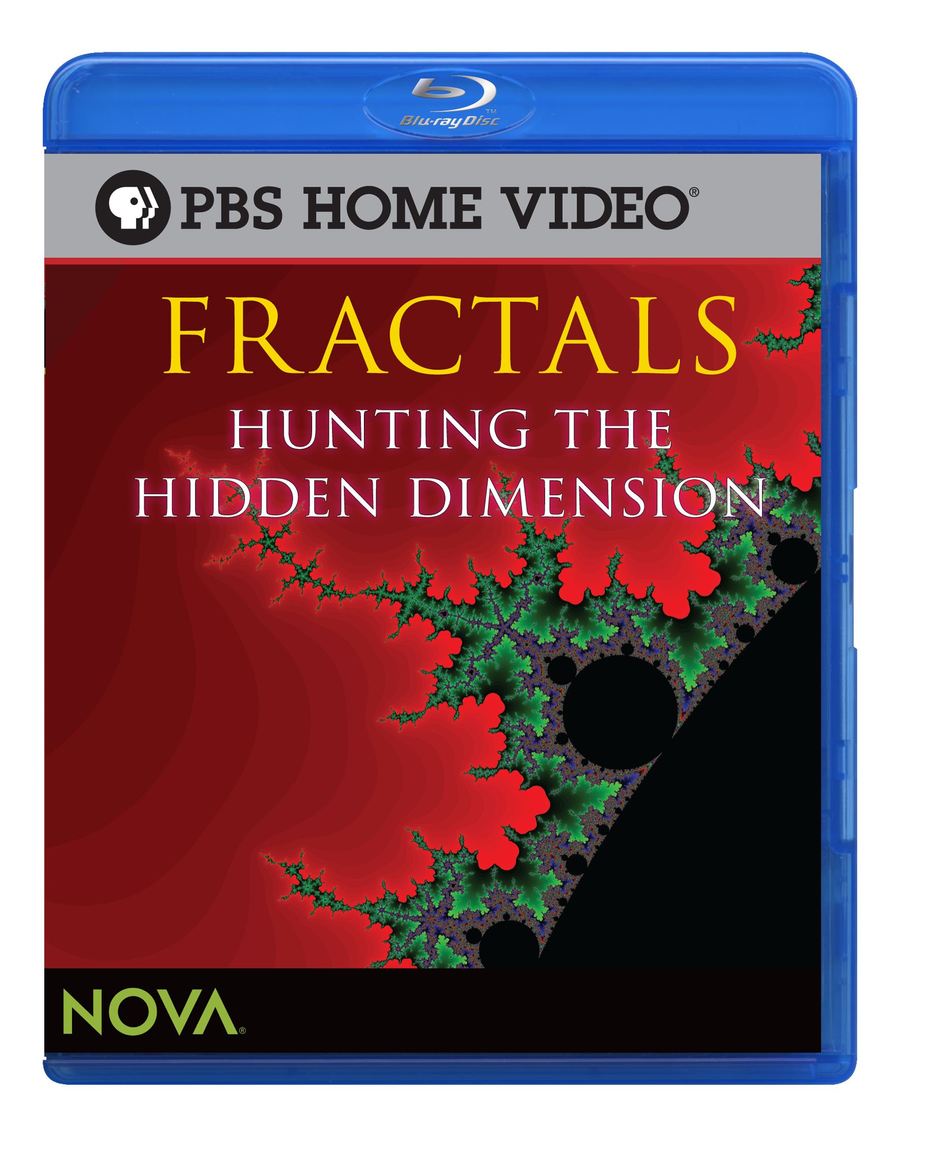 Fractals: Hunting the Hidden Dimension [Blu-ray]