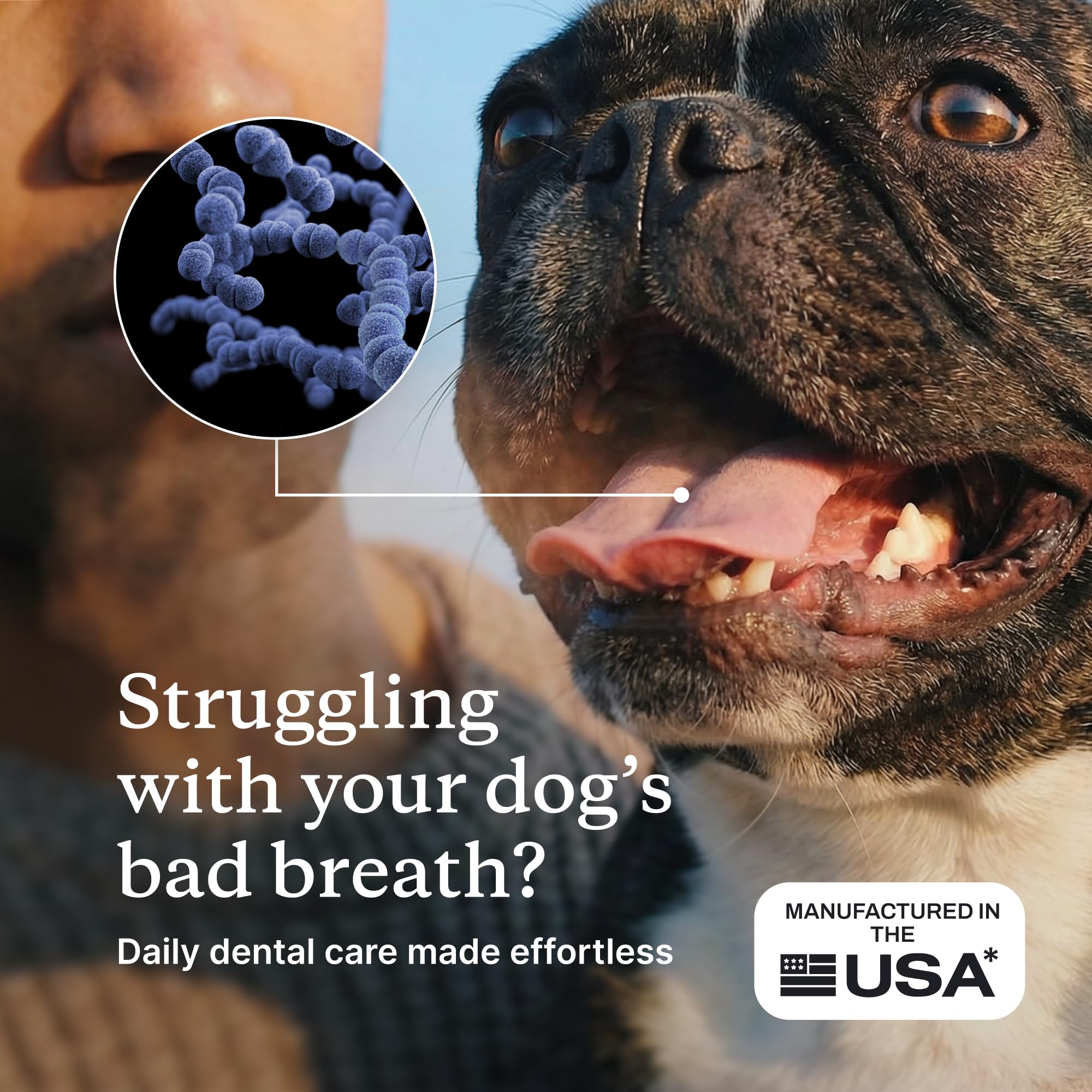 PetLab Co. ProBright Dental Powder - Dog Breath Freshener - Teeth Cleaning Made Easy – Targets Tartar & Bad Breath - Formulated for Extra Small Dogs - Packaging May Vary - image 2