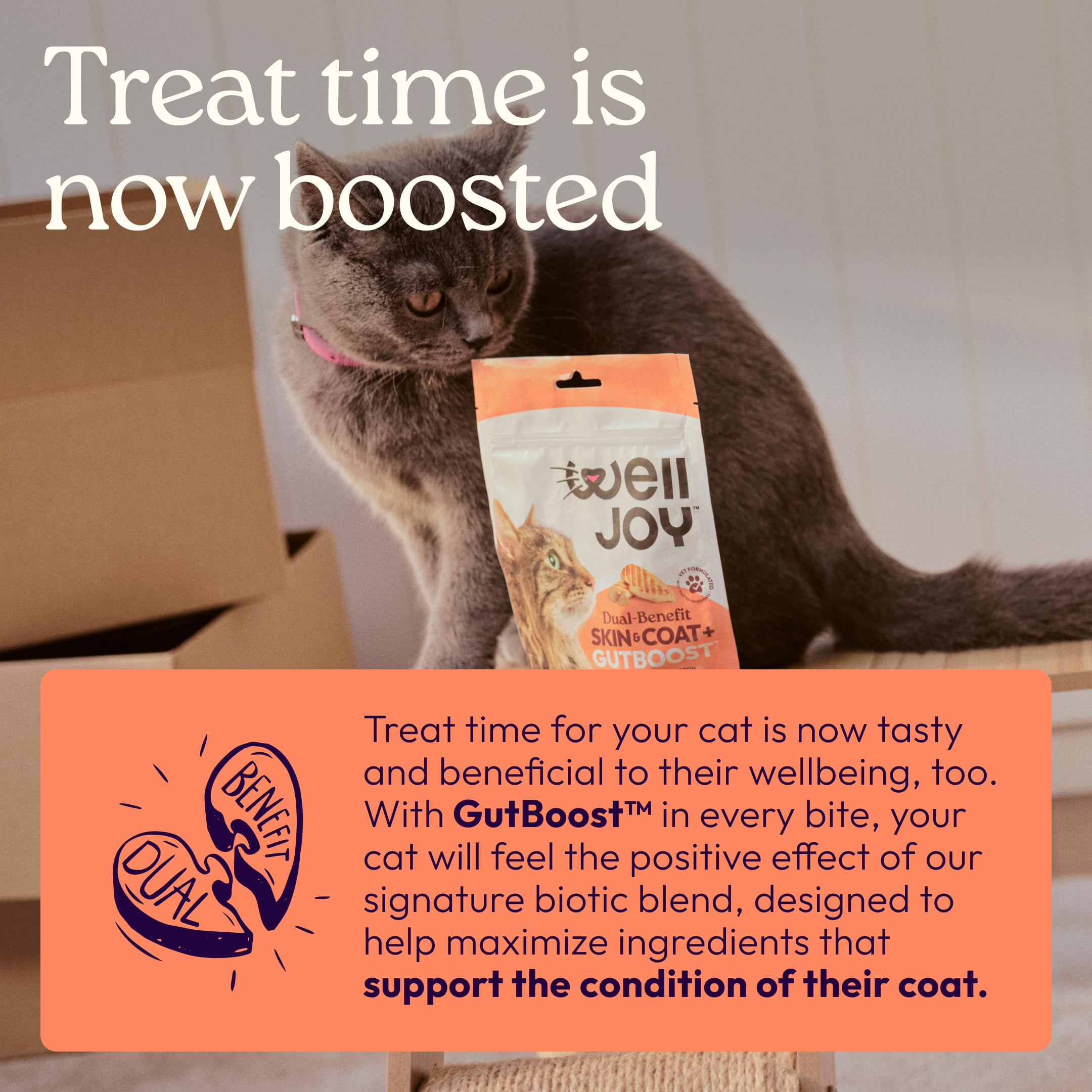 New! WellJoy Cat Treat Skin & Coat+ GutBoost | Nourishes Healthy Skin | Supports Shiny Coat | Dual-Benefit GutBoost Formulation | Vet Formulated | Made in USA | Real Shredded Chicken | 120 Soft Chews - image 4