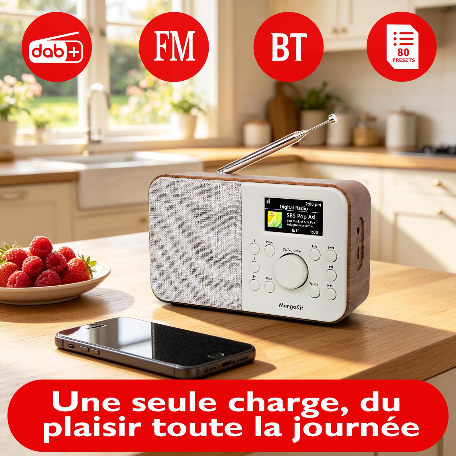 PR2S Pro Radio Rechargeable Dab+, Bluetooth, Écran Couleur, Noyer