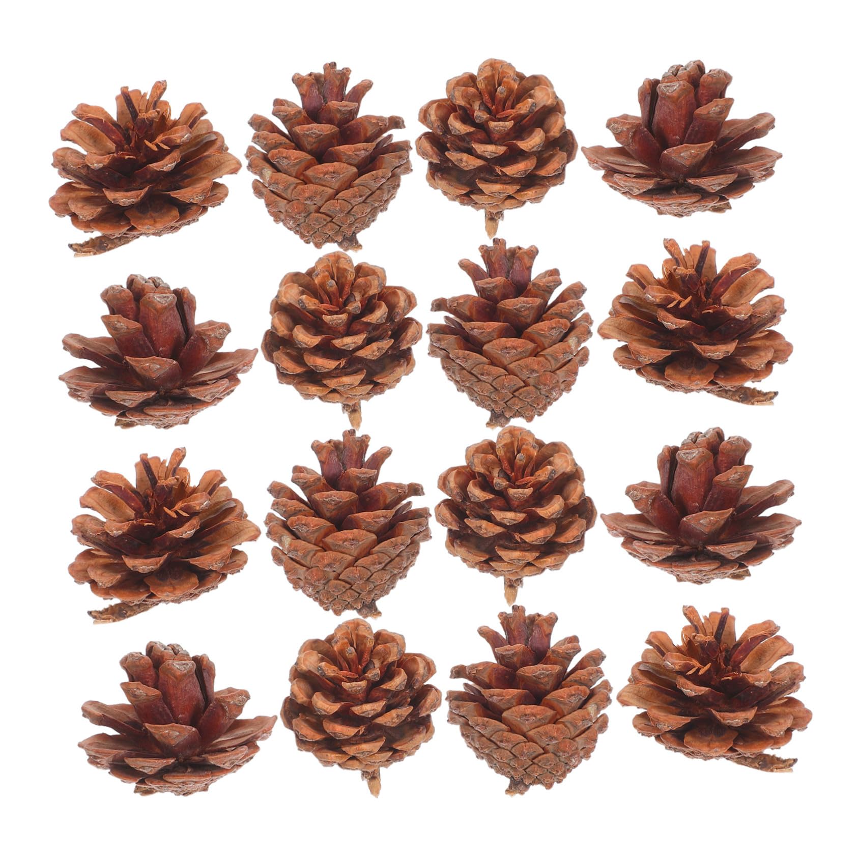 Mini pommes de pin de Noël naturelles pour garniture de vase et table de Thanksgiving