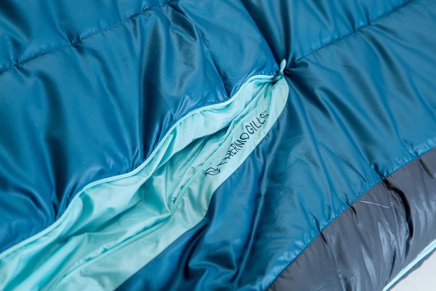 NEMO Equipment Forte Endless Promise Synthetic Sleeping Bag