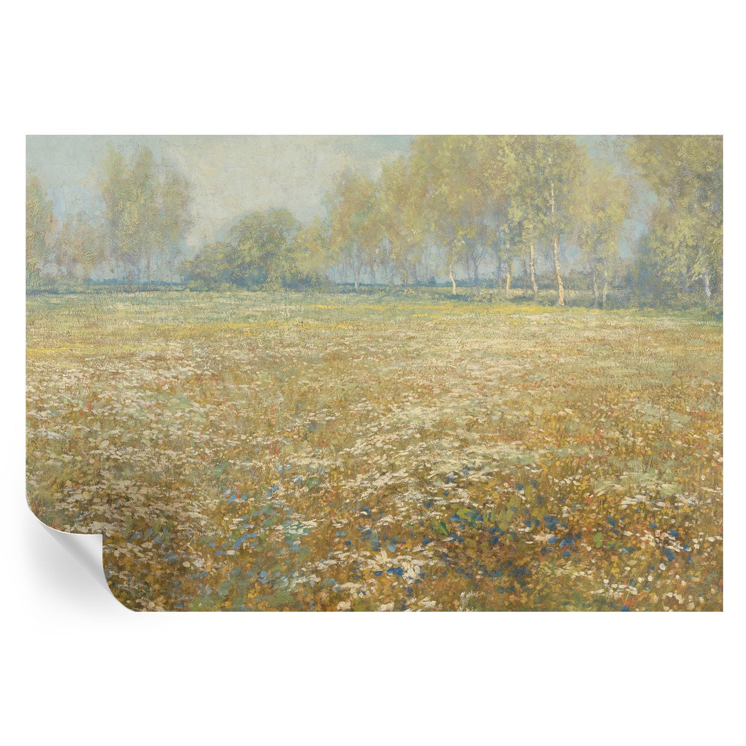 Cubiertas de pared adhesivas Campo en Flor para tapar imperfecciones de forma rápida