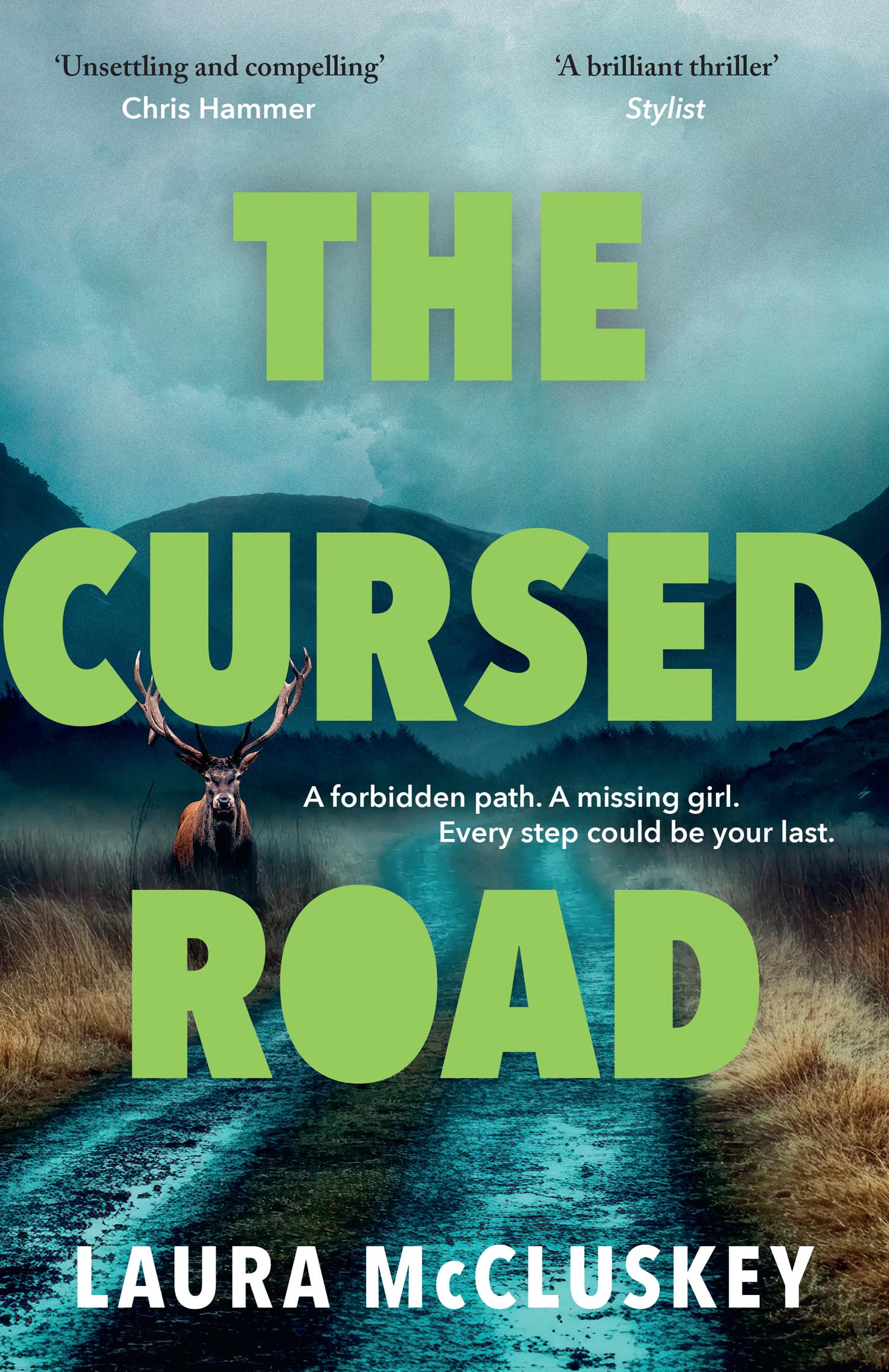 The Cursed Road: A gripping and atmospheric new detective crime thriller set in the Scottish Highlands, new for 2026