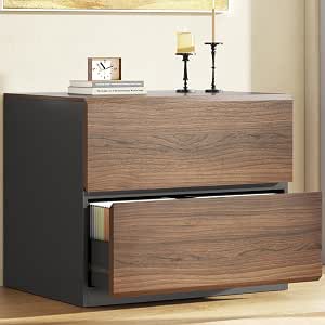 ModernMate 2-Drawer Lateral File Cabinet for Home Office, 31.5W x 28.7H