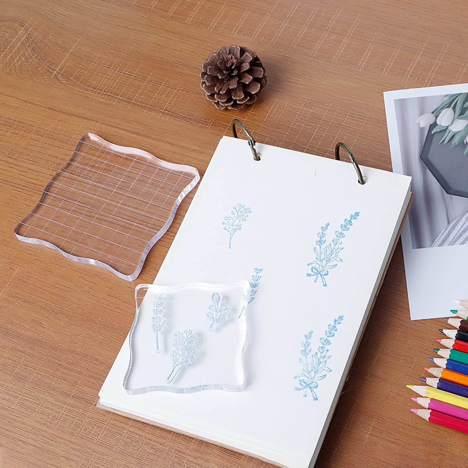 Amazon.co.jp: Petiwa クリア スタンプブロック セット アクリル