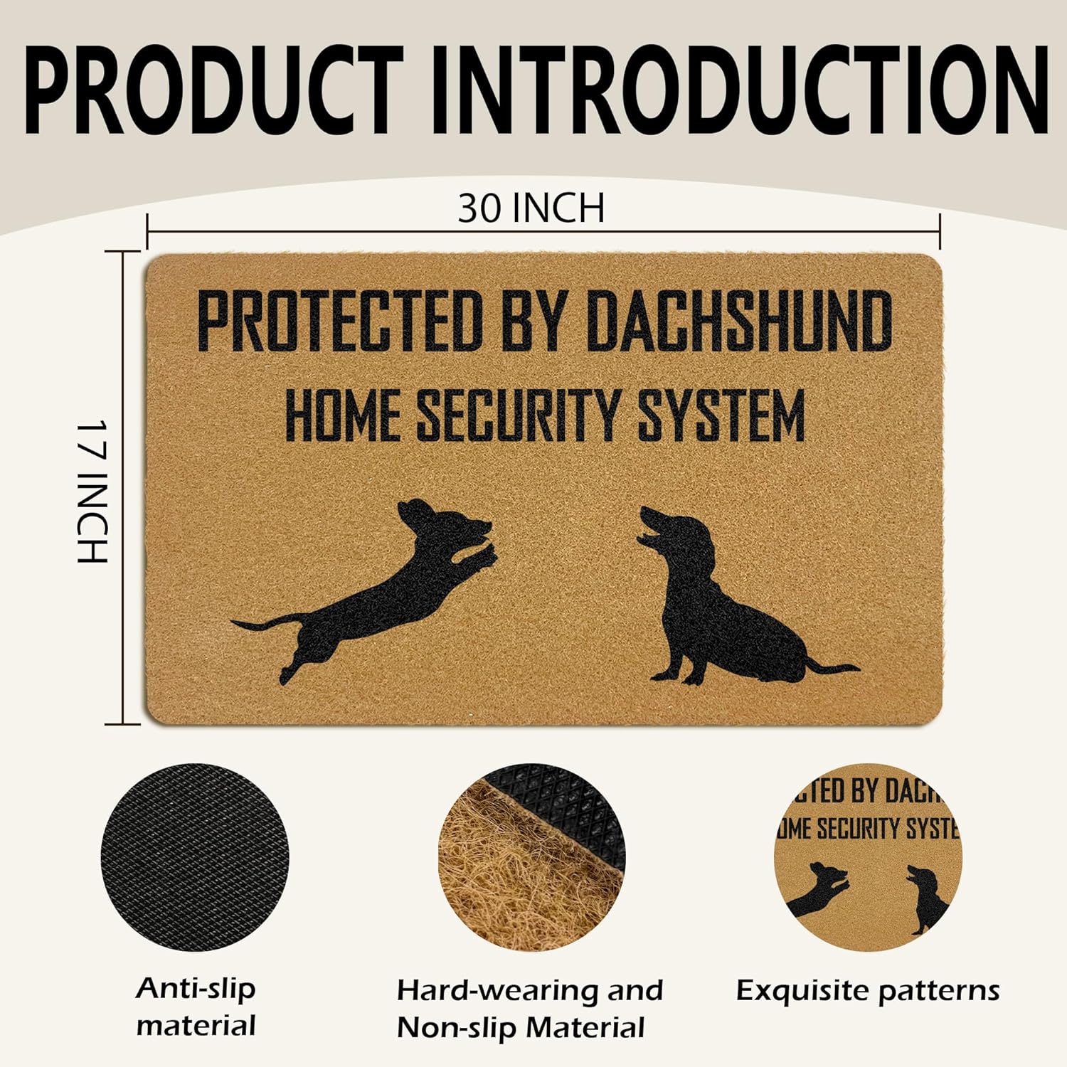 Funny Dachshund Dog Coir Door Mats Outdoor, Wiener Dog Gifts Front Door Mat Outside Entrance, Protected by Dachshund Home System Security Doormat Outdoor Indoor Entrance for Home Decor, 17x30in