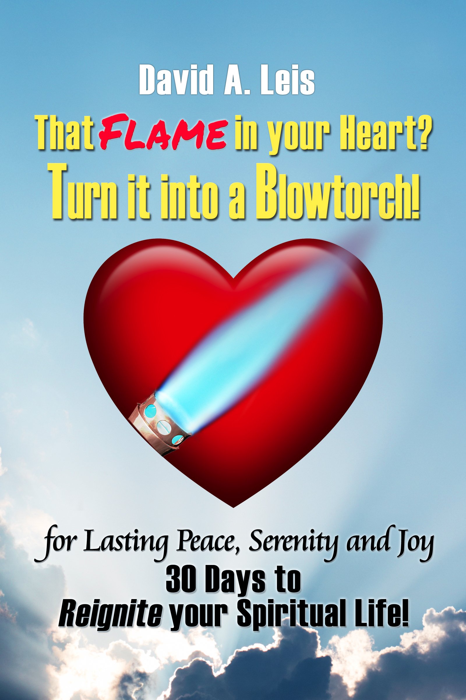 That Flame in your Heart? Turn it into a Blowtorch!: 30 Days to Reignite your Spiritual Life!