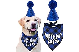 JPB Doggie Birthday Hats