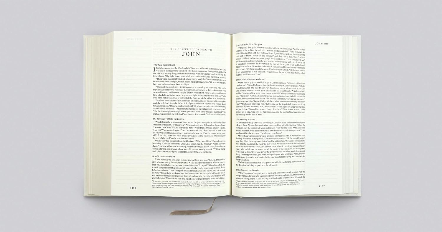 ESV Single Column Journaling Bible (Hardcover, Customizable Cover): Holy Bible, English Standard Version      Hardcover – February 20, 2025