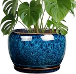 SQOWL 10 Pot de plante de pouce - Pot en céramique avec trou de drainage et soucoupe, Pot décoratif pour les plantes d'extérieur intérieur, Pot rond grand planteur, bleu