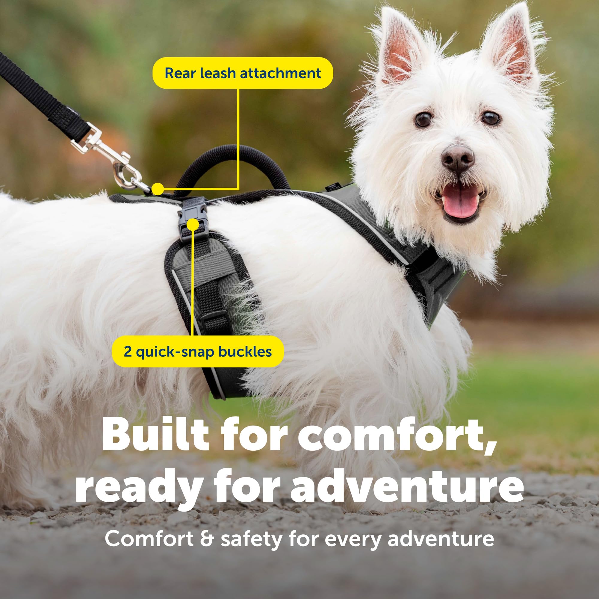 PetSafe EasySport szelki dla psa - wyściełane, regulowane szelki dla psa z uchwytem kontrolnym i odblaskową lamówką - idealne dla aktywnych psów - od The Makers of The Easy Walk uprząż - mała