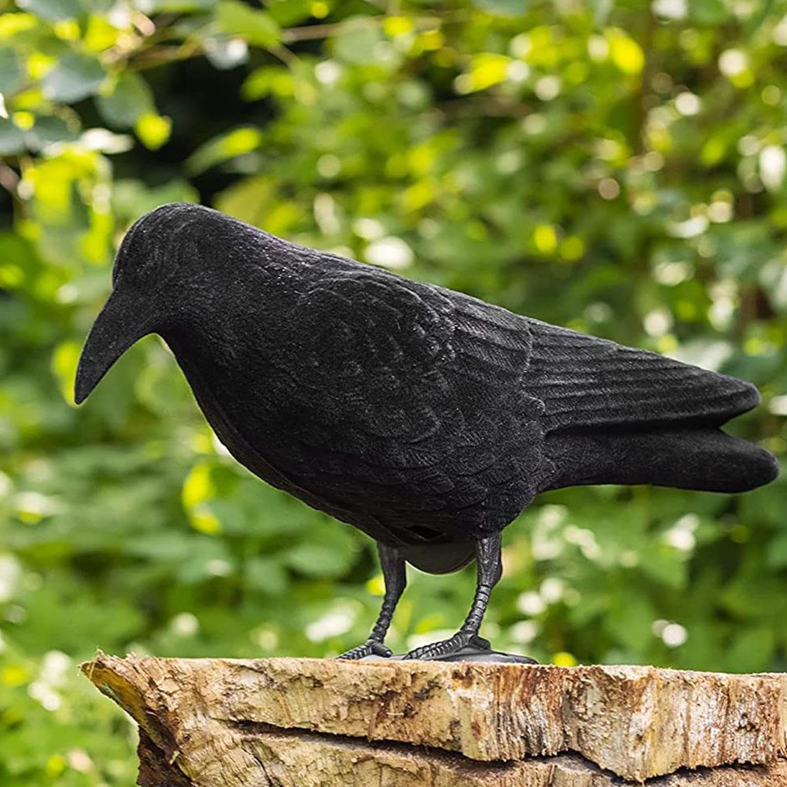 Amazon.co.jp: カラスよけ 鳥よけ 本物そっくり 鳩よけ カラスの彫像