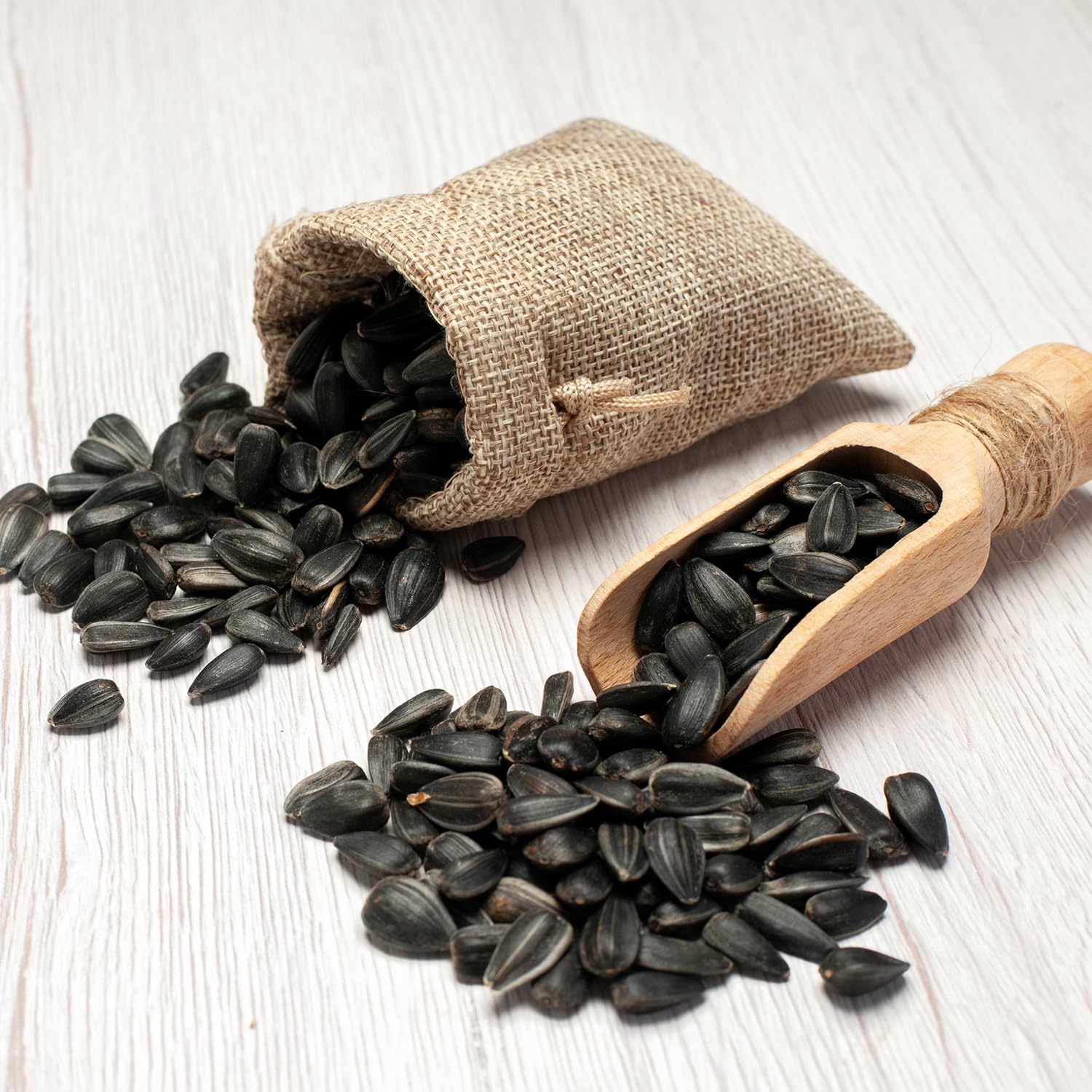 Semillas de Girasol Negras 25 kg, Zivela, para pájaros, nutrientes y sabrosas para Tus Amigos con Plumas, 25 kg de Semillas de Girasol Negras para Aves Silvestres
